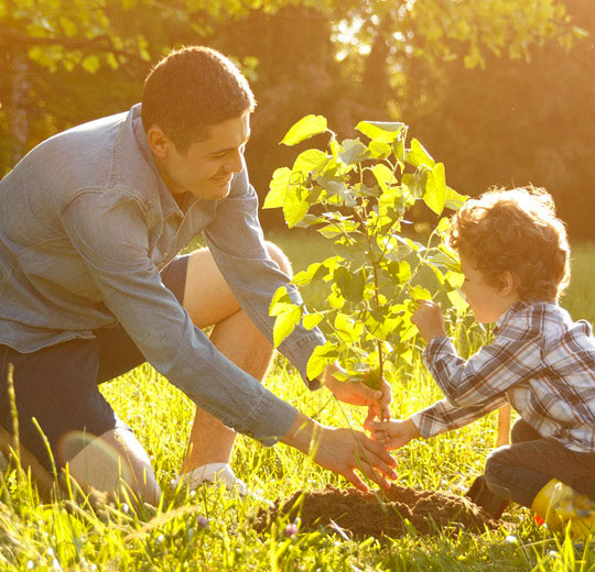 Do plants make the best pets?